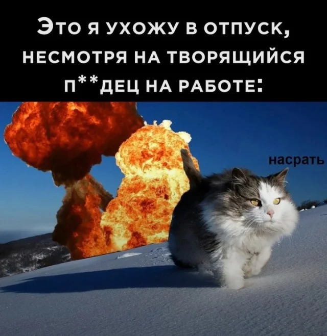 Баян за баяном