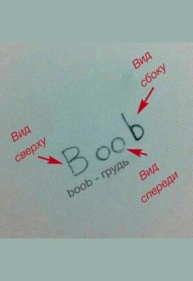 Куда смешней-то? Прикольные картинки