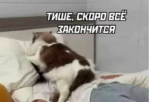 Смешные скрины из соцсетей #42