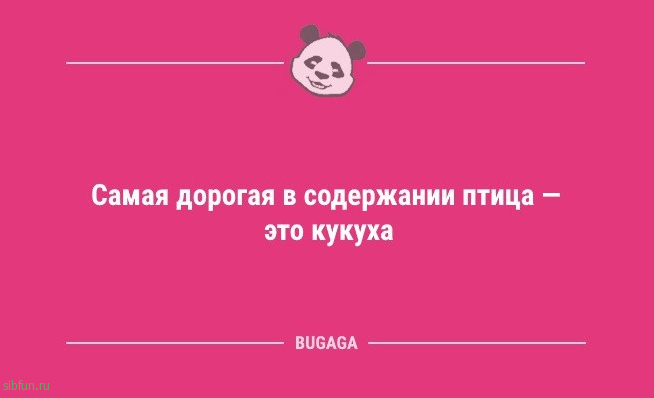 Анекдоты в середине недели: «А график работы у нас гибкий…» 