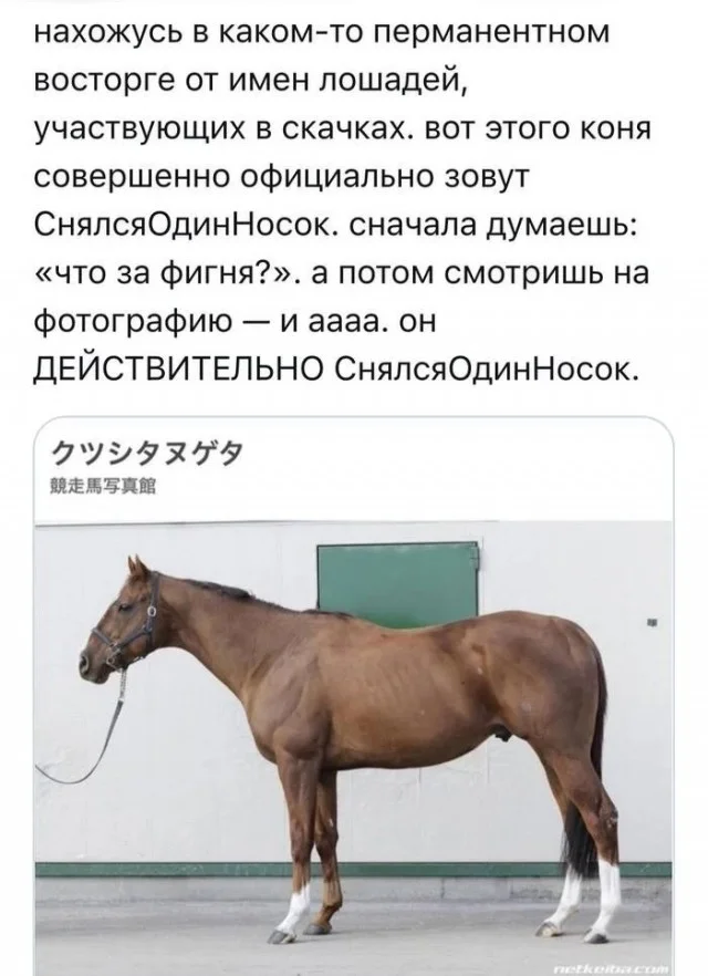 Классный юмор
