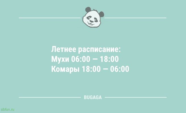 Анекдоты посмеяться: «Летнее расписание…» 