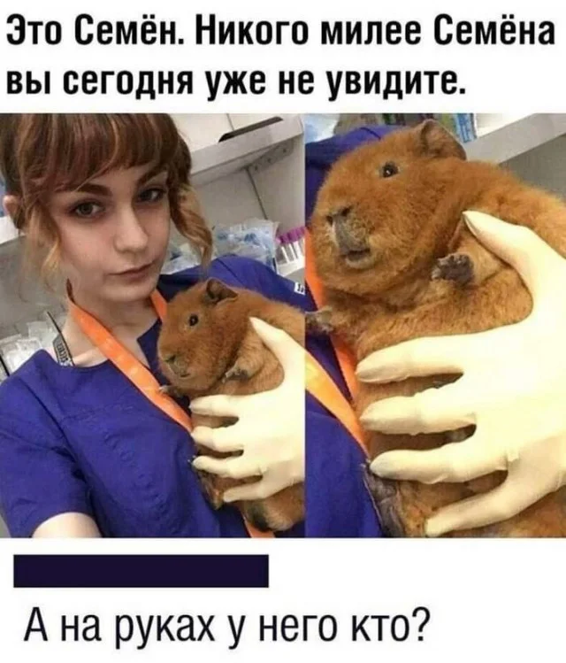 Весело и смешно