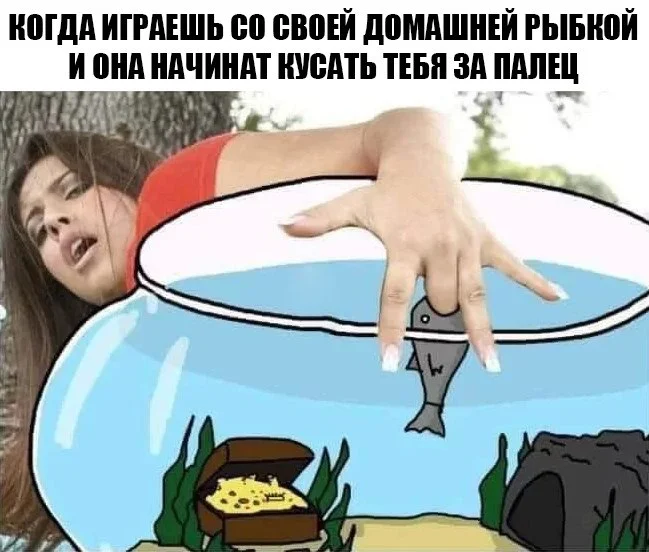 Нестандартный юмор #350