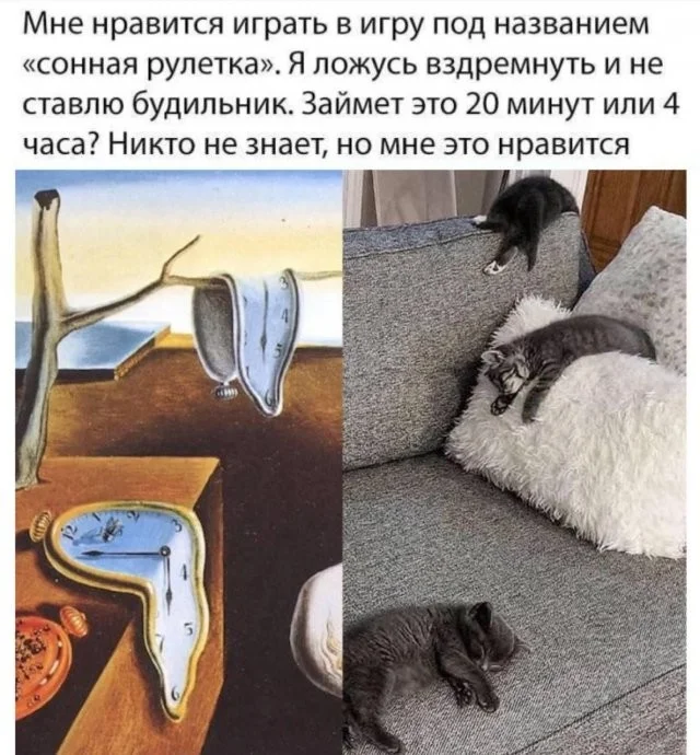Смешные скрины из соцсетей #42