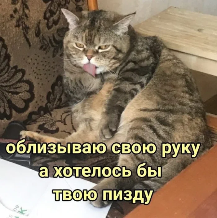 Нестандартный юмор #343