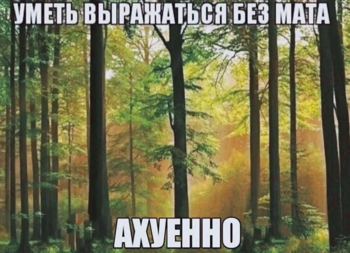 Нестандартный юмор #361