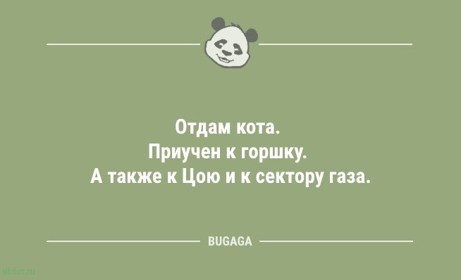 Смешные анекдоты в маленькую пятницу: «На Эверест без кислорода — ерунда…» 