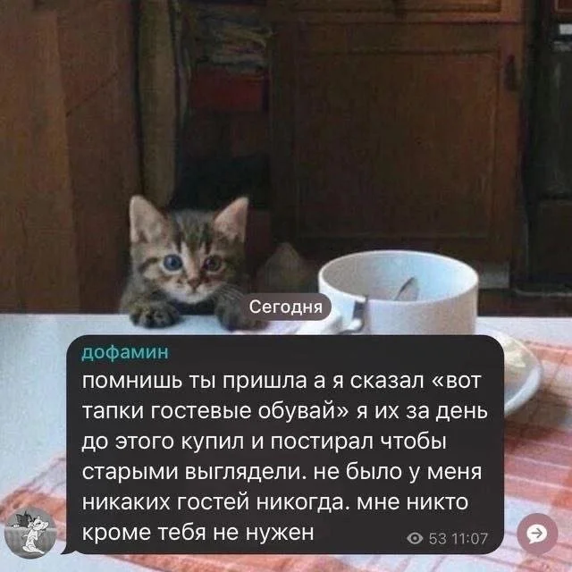 Смешные скрины из соцсетей #46