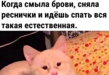 Смешные скрины из соцсетей #33