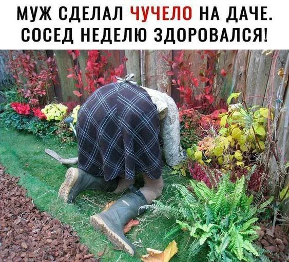 Нестандартный юмор #356