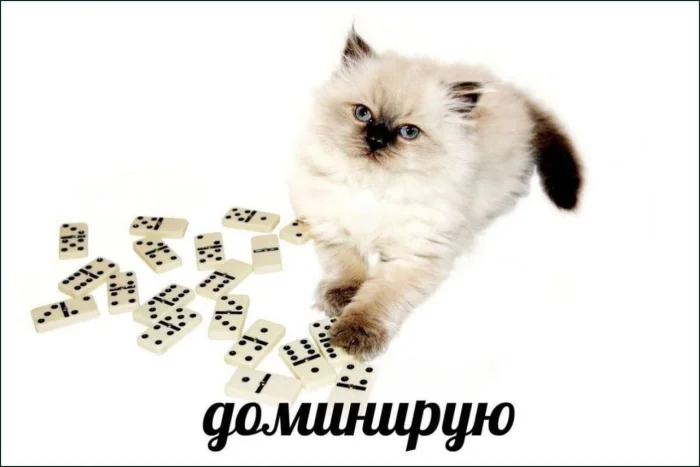 Нестандартный юмор #369