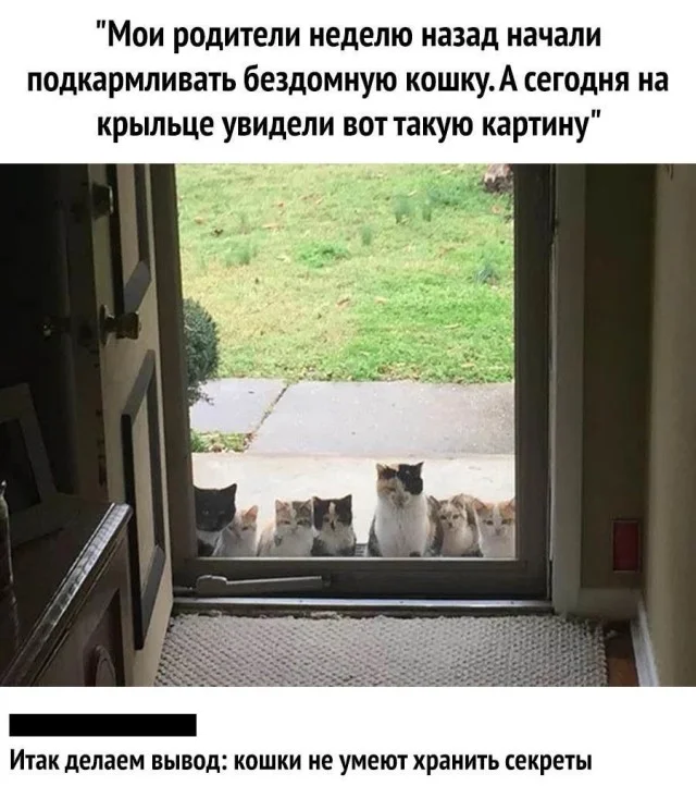 Актуально и свежо: Прикольные картинки