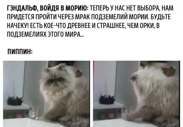 Смешные скрины из соцсетей #33