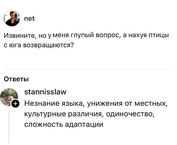 Разные картиночки