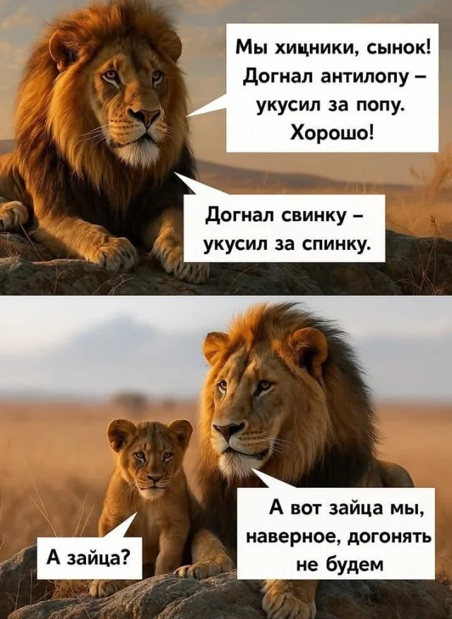 Оборжака! Веселые картинки!