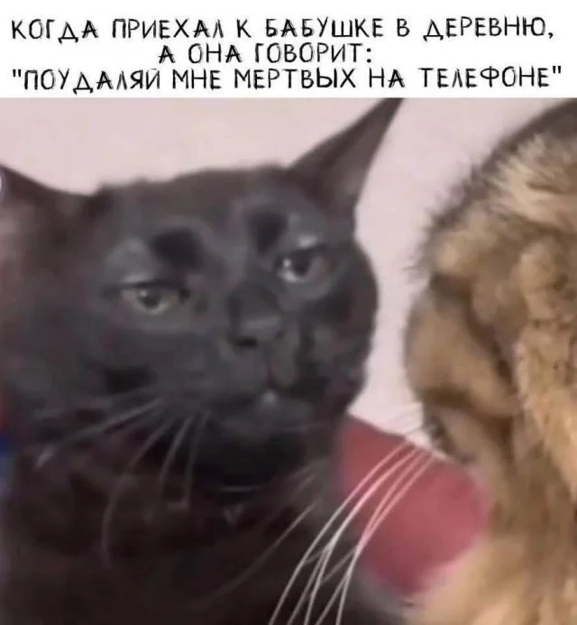 Улыбательные картинки разной степени свежести