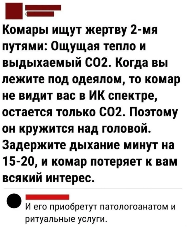 Куда уже свежей? Прикольные картинки!
