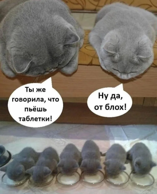 Небольшая подборка приколов