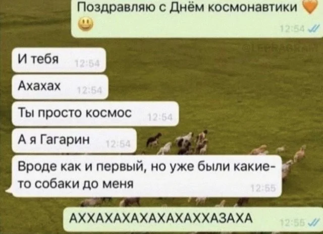 Смешные скрины из соцсетей #44