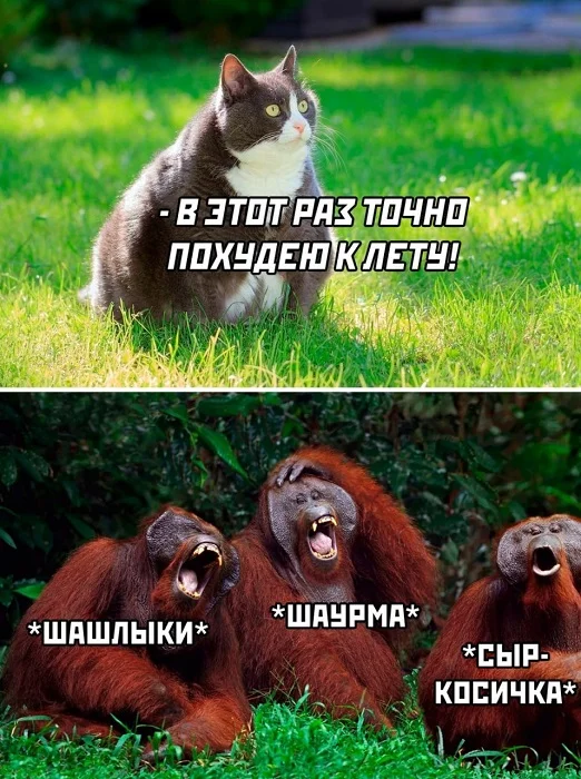 Разные картиночки