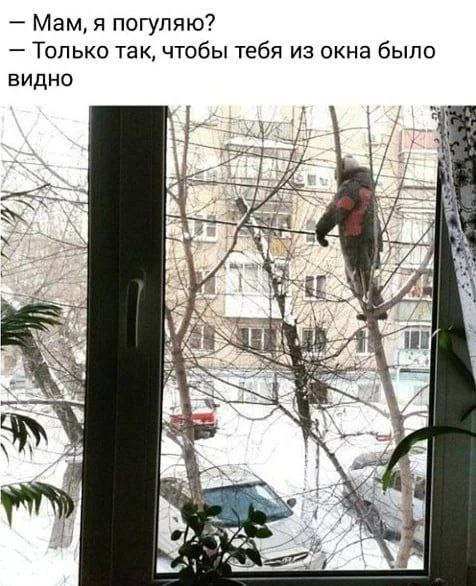 Нестандартный юмор #342