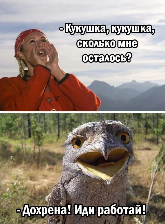 Нестандартный юмор #372