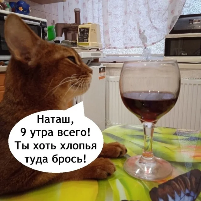 Свежо и хорошо! Приколы!