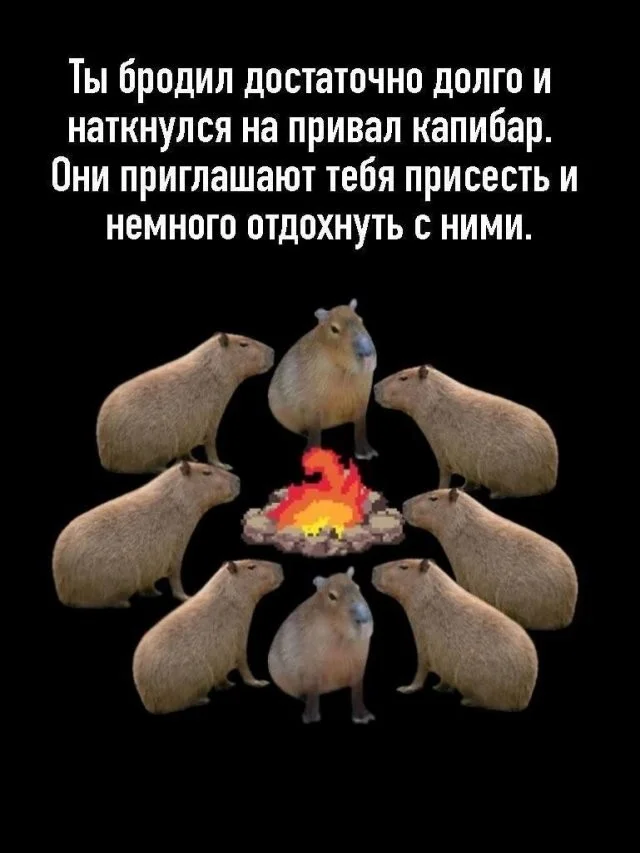 Смешные скрины из соцсетей #38