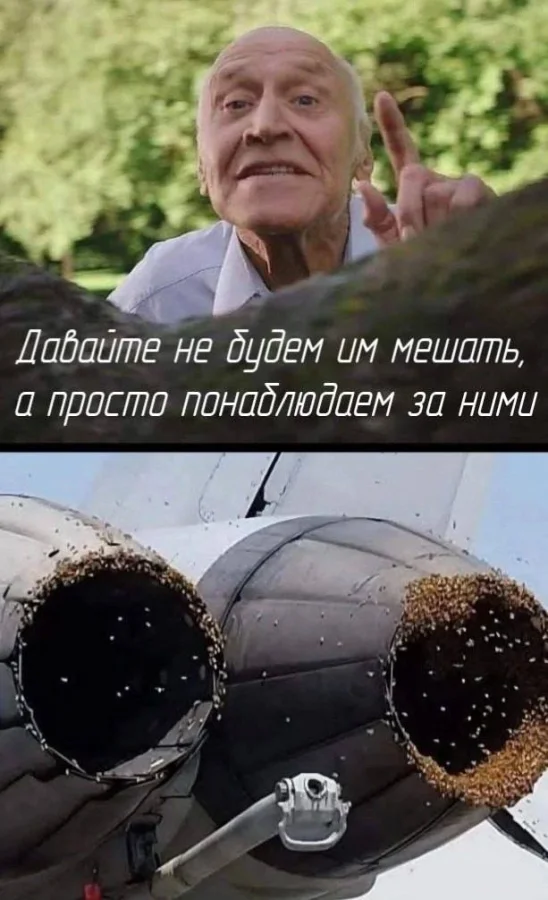 Нестандартный юмор #361