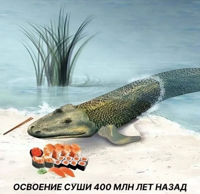 Нестандартный юмор #357