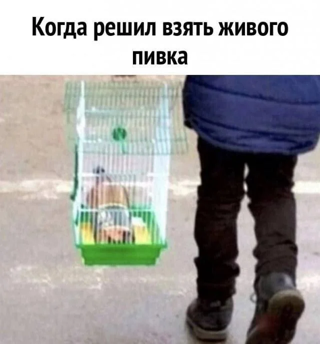 Нестандартный юмор #343