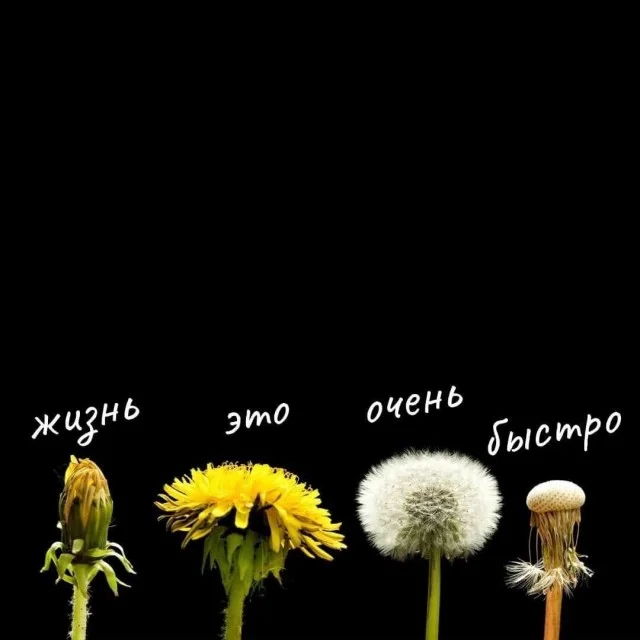 Немного позитива