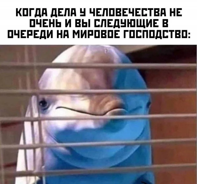 Куда смешней-то? Прикольные картинки