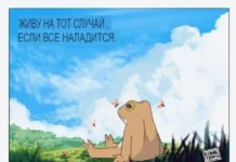 Смешные скрины из соцсетей #38