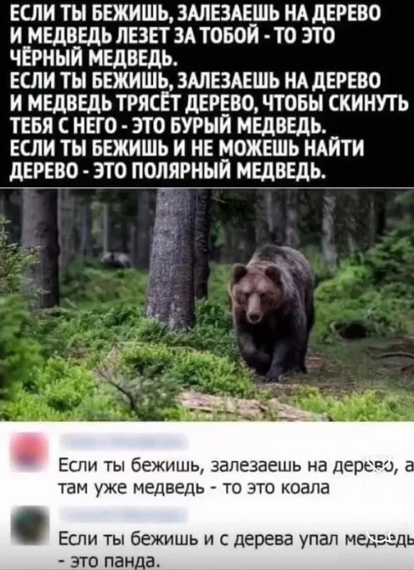 Картинки веселые и прекрасные