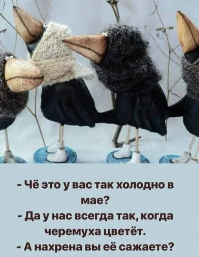 Прикольные картинки. Свежее некуда!