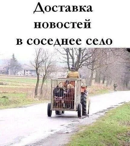 Нестандартный юмор #365