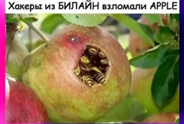 Баян за баяном