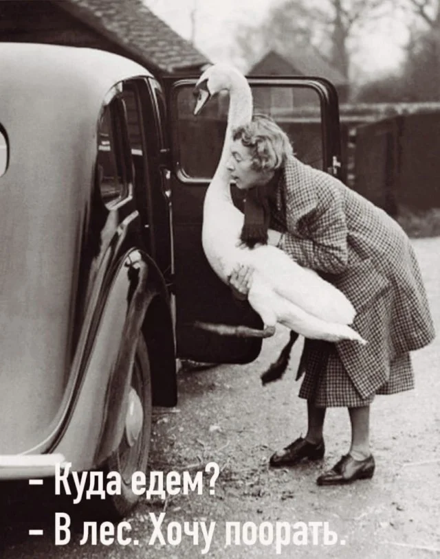Классный юмор