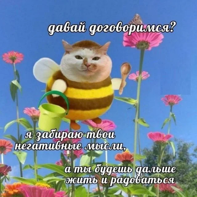 Смешные скрины из соцсетей #47