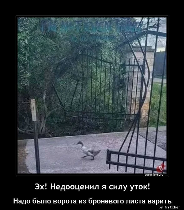 Демотиваторы-приколы