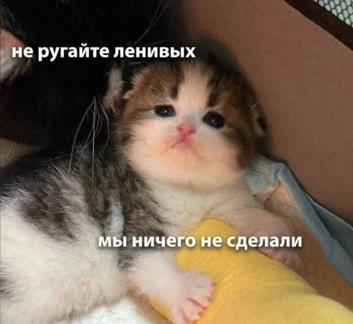 Нестандартный юмор #350