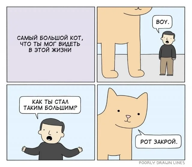 Смешные скрины из соцсетей #34