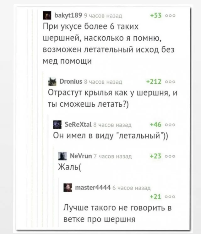 Легко и свежо: Прикольные картинки