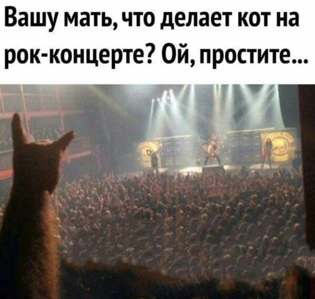 Картинки картиночки!