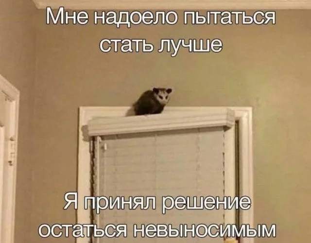 Смешные скрины из соцсетей #36