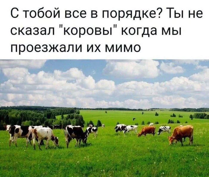 Нестандартный юмор #354