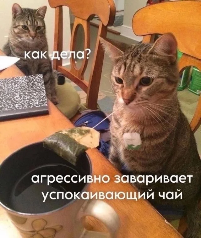 Смешные скрины из соцсетей #36