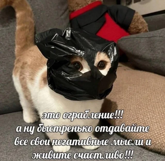 Смешные скрины из соцсетей #33